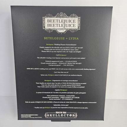Back of Monster High Skullector Betelgeuse and Lydia Deetz Beetlejuice Beetlejuice presentation box